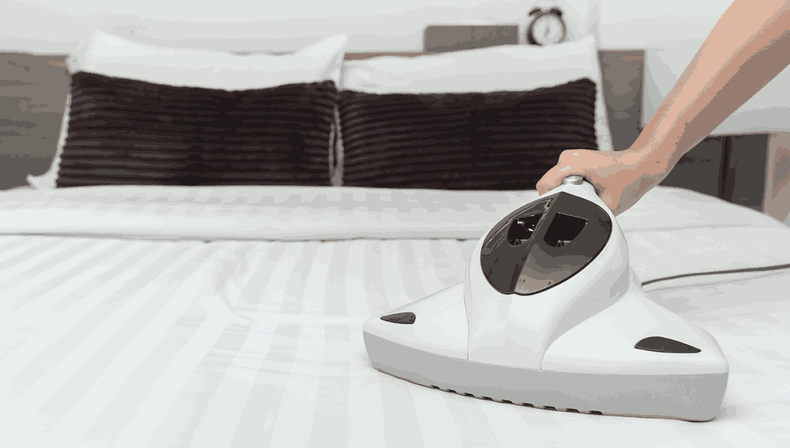 Professional Mattress Cleaning Officer